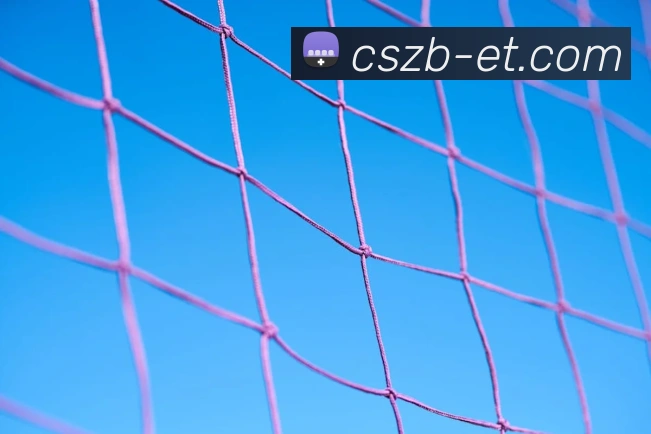 彩神争霸APP 封面图